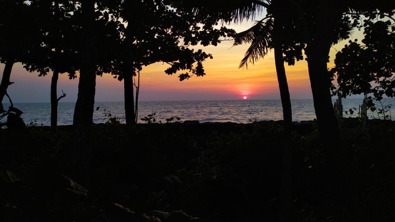 Sea Hut Homestay Kochi Esterno foto